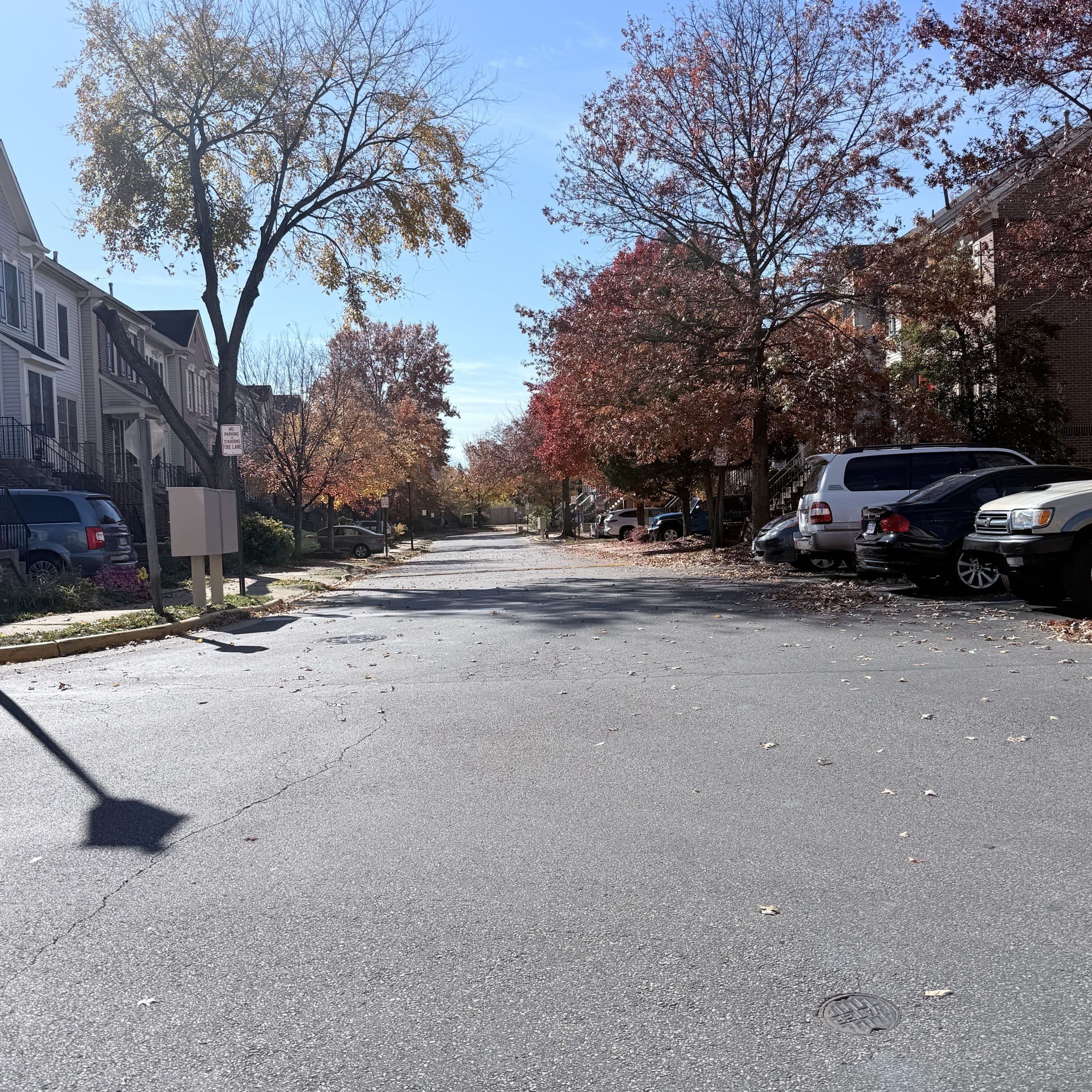Tree-lined street in The Village at Gum Springs community.